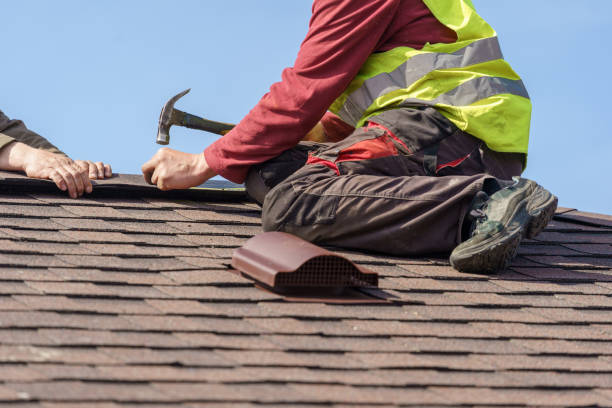 Best Roof Gutter Cleaning  in Crest, CA