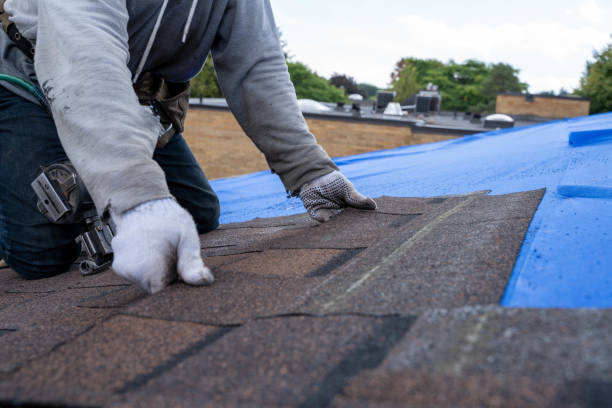Best Roof Waterproofing Services  in Crest, CA